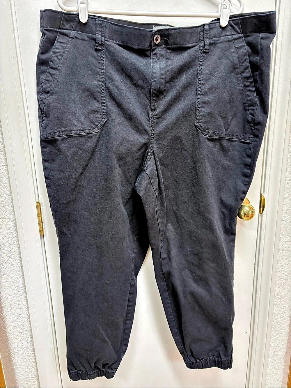 Torrid Jogger Black Pants